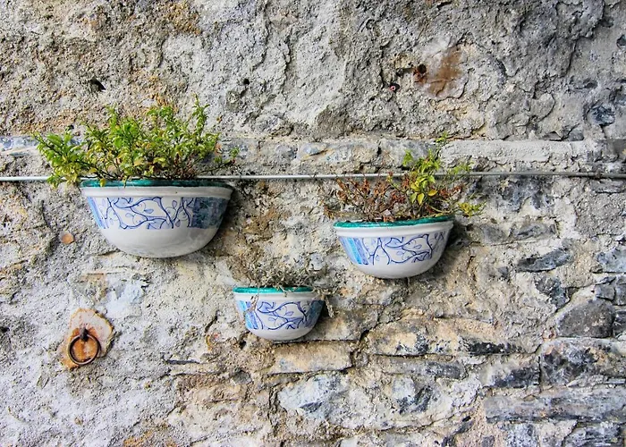 Сasa de vacaciones Central