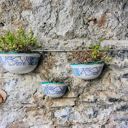 בית נופש Central